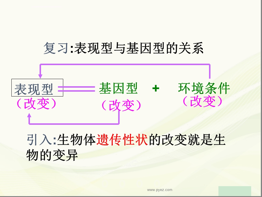 基因突变和基因重组ppt课件.ppt_第2页