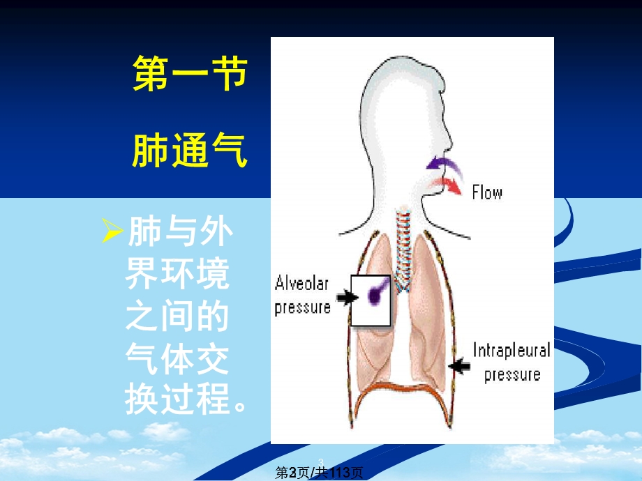 呼吸系统课件全面版.pptx_第3页