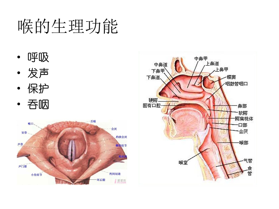 喉症状学喉梗阻气管切开术精选课件.ppt_第3页