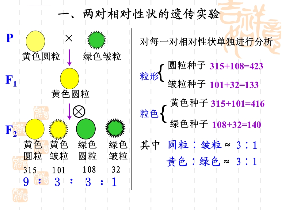 孟德尔的豌豆杂交实验(二)(高三一轮复习)报告ppt课件.ppt_第2页