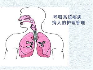 呼吸道疾病护理管理(讲课用)课件.ppt