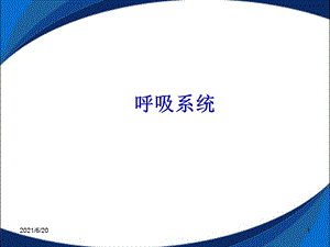 呼吸系统CT课件.ppt