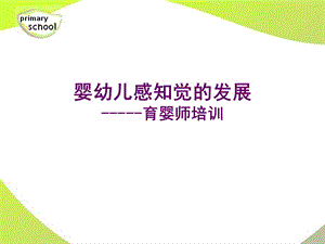 婴幼儿感知觉的发展ppt课件.ppt