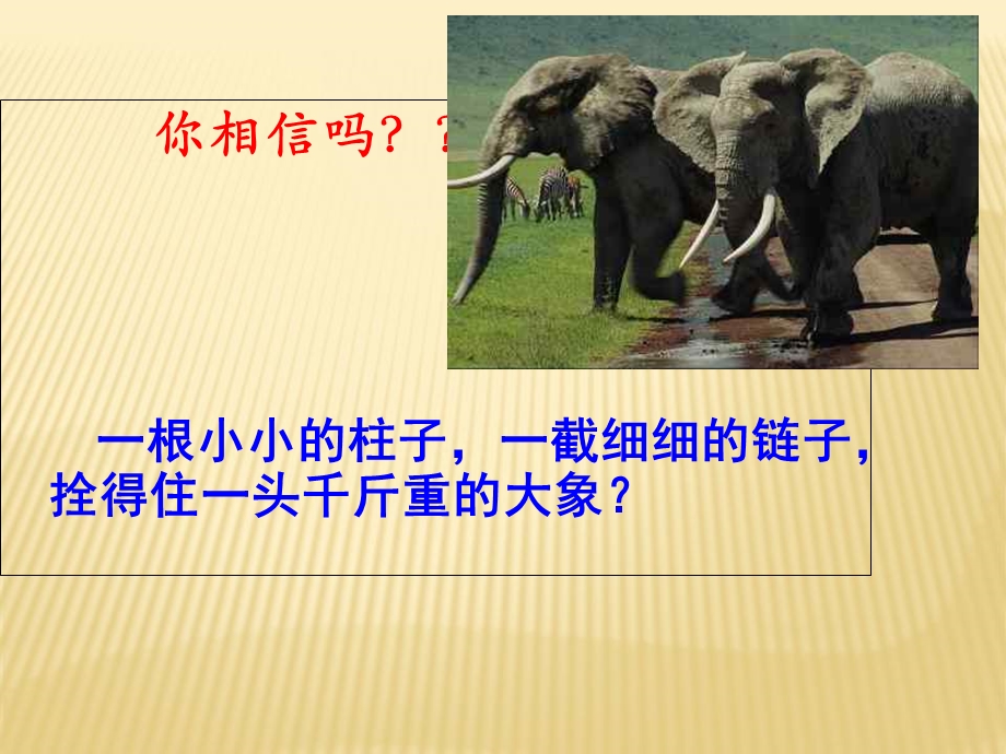 好习惯从小养成主题班会PPT课件.ppt_第2页