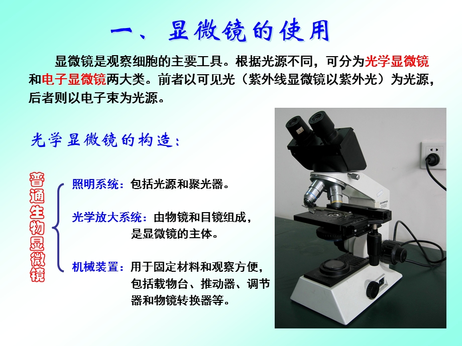 实验一(生药学)ppt课件.ppt_第3页