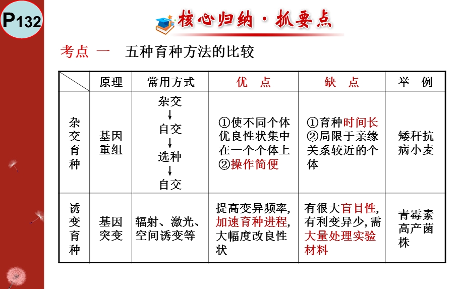 基因工程育种ppt课件.ppt_第3页