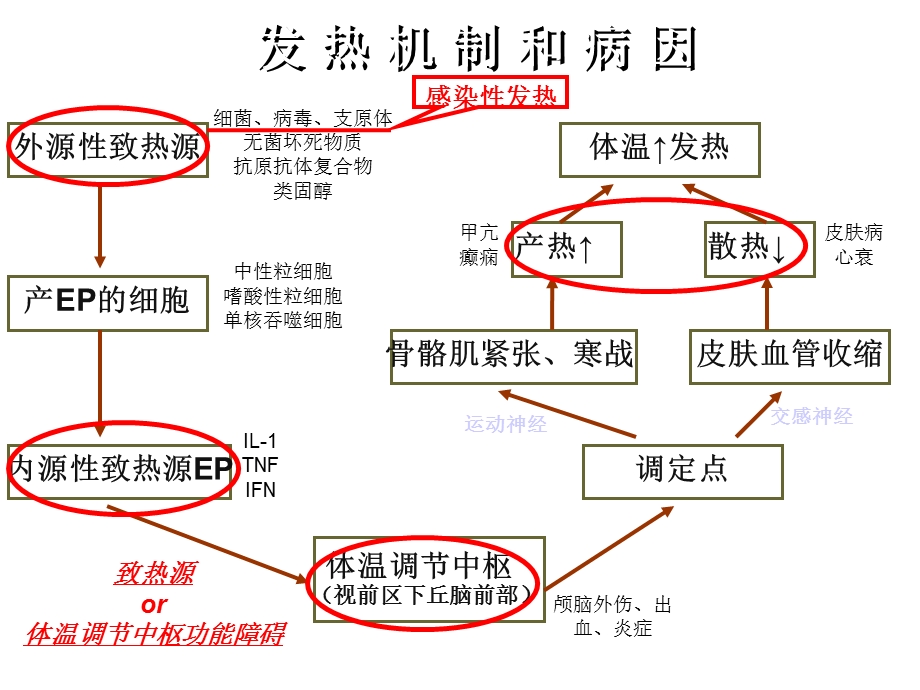 复习2发热、发绀、疼痛、水肿课件.ppt_第3页