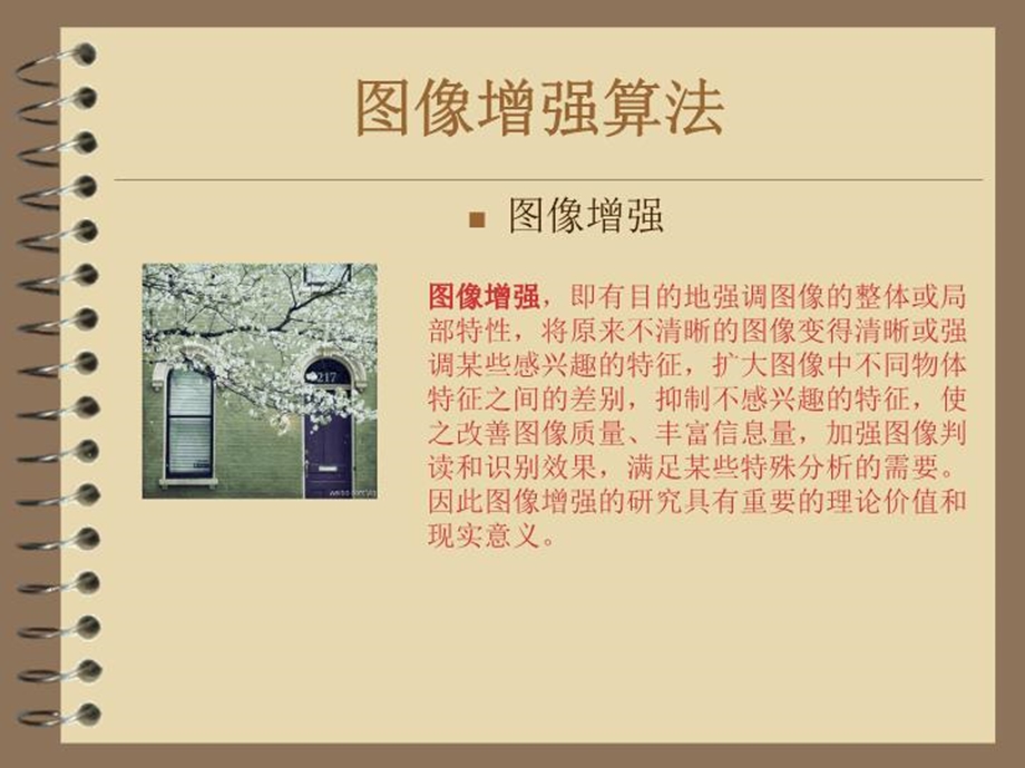 基于粒子群算法的图像增强课件.ppt_第2页