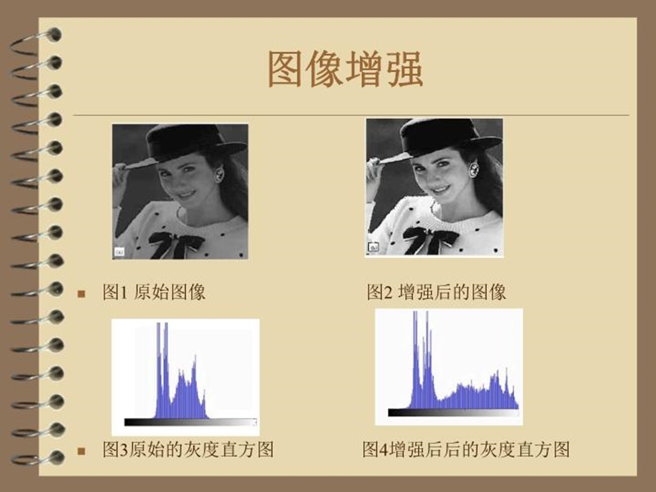 基于粒子群算法的图像增强课件.ppt_第3页