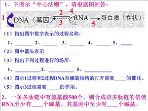 基因突变与基因重组ppt课件.ppt