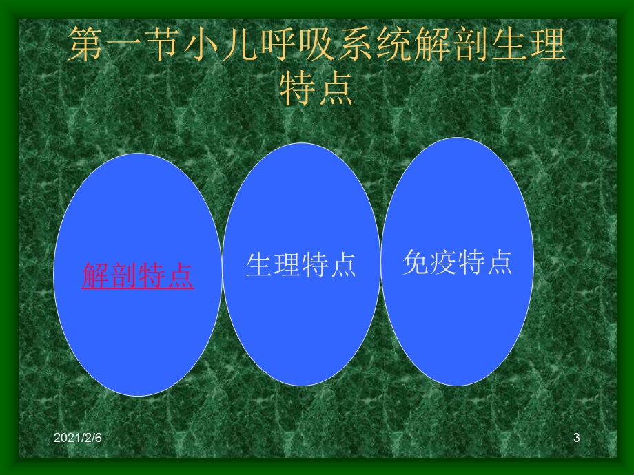 呼吸系统介绍课件.ppt_第3页