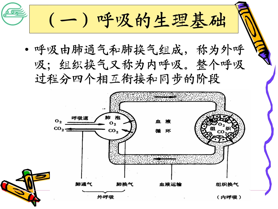 呼吸功能训练及排痰技术ppt课件.ppt_第2页