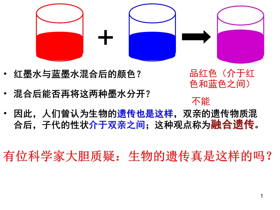 孟德尔实验一ppt课件.ppt_第1页