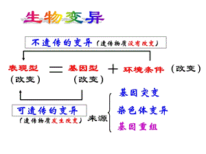 基因突变及其他变异复习ppt课件.ppt