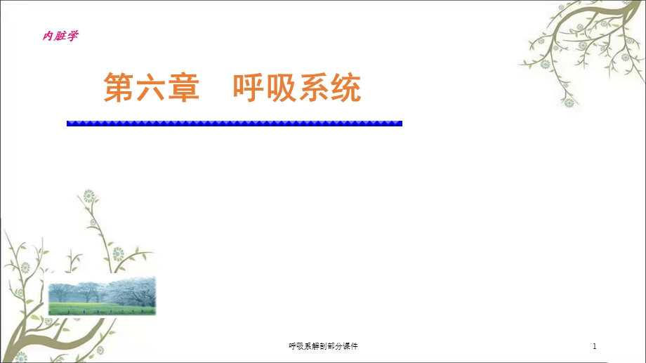 呼吸系解剖部分课件.ppt_第1页