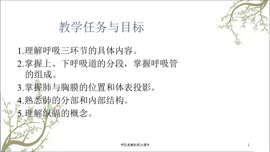 呼吸系解剖部分课件.ppt_第2页