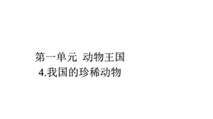 四年级上册科学课件5《我国的珍稀动物》青岛版共12张.pptx