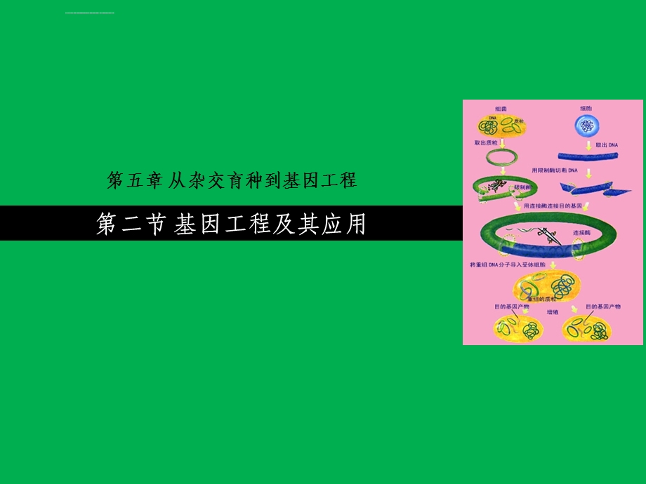 基因工程及其应用（公开课）ppt课件.ppt_第1页