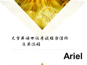 大学英语四级考试框架结构及其流程(Ariel)——蓝先生教育ppt课件.ppt