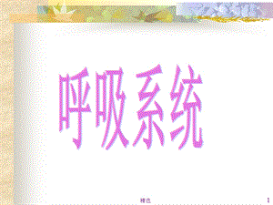 呼吸系统课件 3.ppt