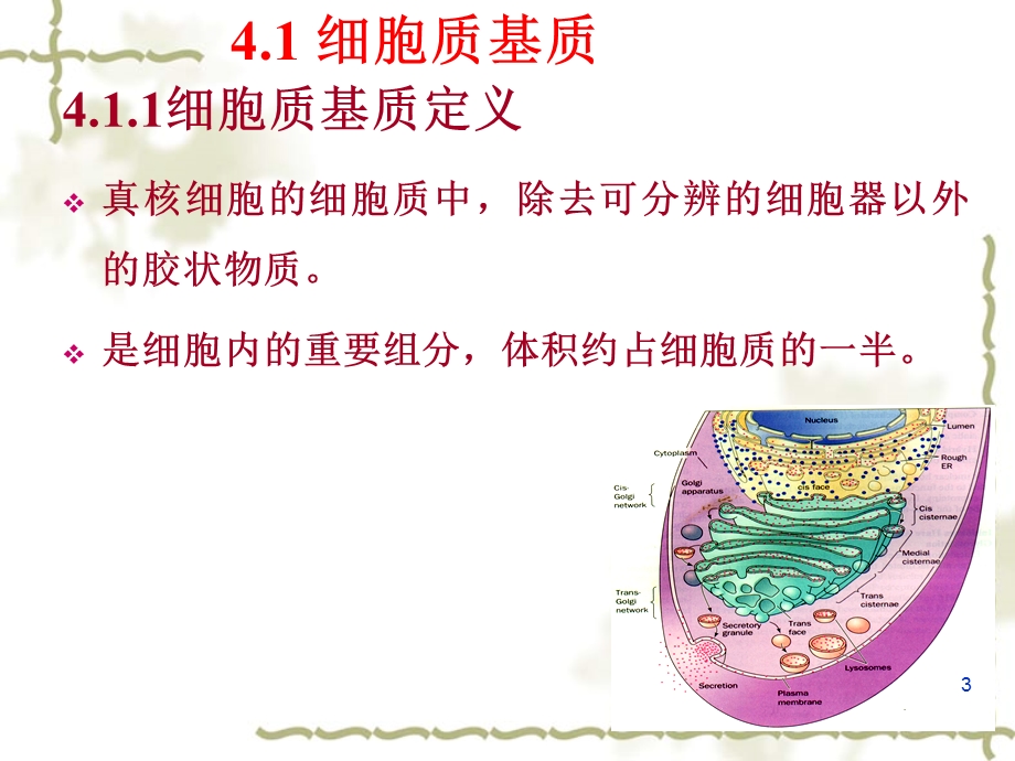 四章内膜系统a课件.ppt_第3页