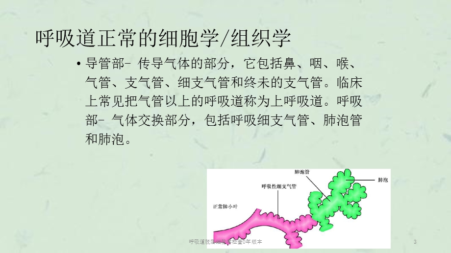 呼吸道脱落细胞学检查0年版本课件.ppt_第3页