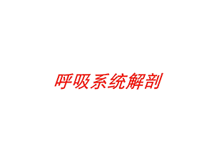 呼吸系统解剖培训课件.ppt