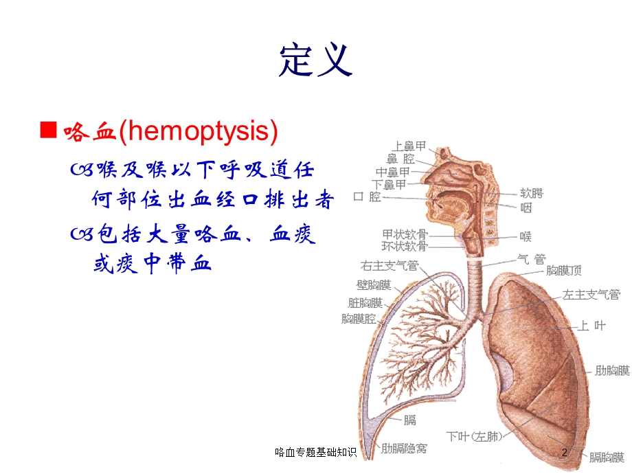 咯血专题基础知识培训课件.ppt_第2页