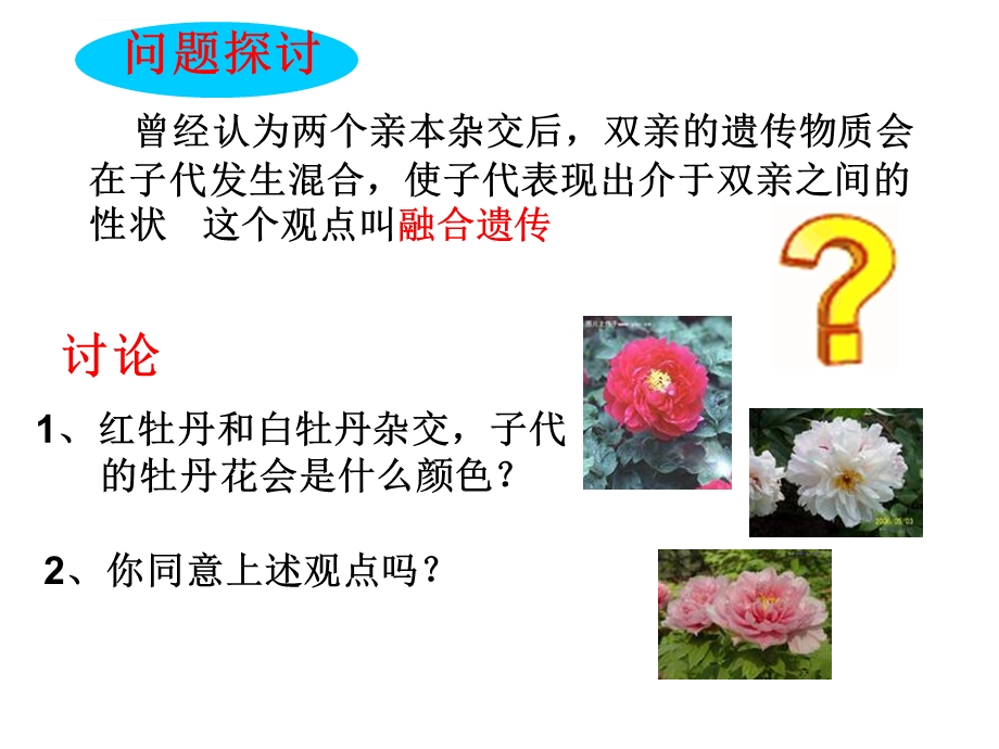 孟德尔的豌豆杂交实验一（好）ppt课件.ppt_第2页