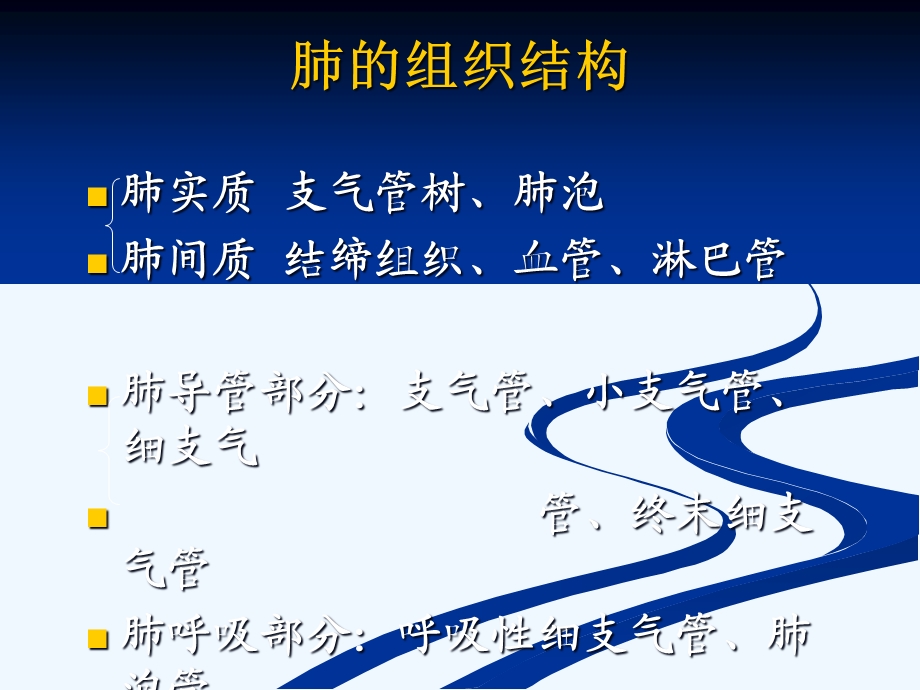 呼吸系统疾病理学课件.ppt_第3页