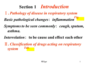 呼吸系统的常用药物介绍课件.ppt