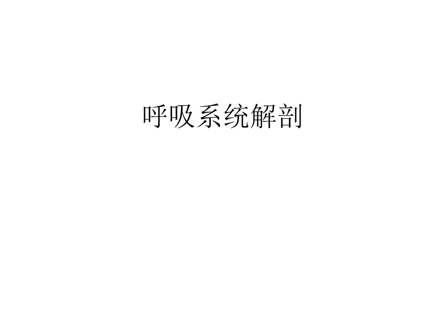 呼吸系统解剖课件.ppt_第1页