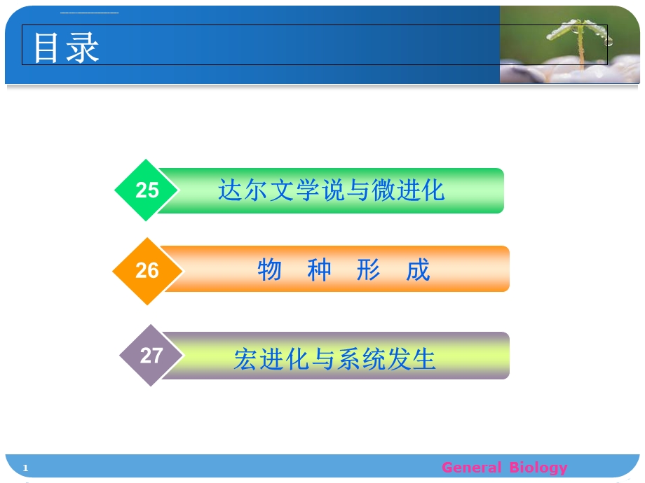 宏进化与系统发生ppt课件.ppt_第1页