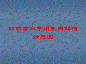 四肢临床常用肌肉解剖示意图培训课件.ppt