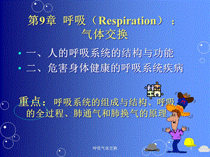 呼吸气体交换课件.ppt