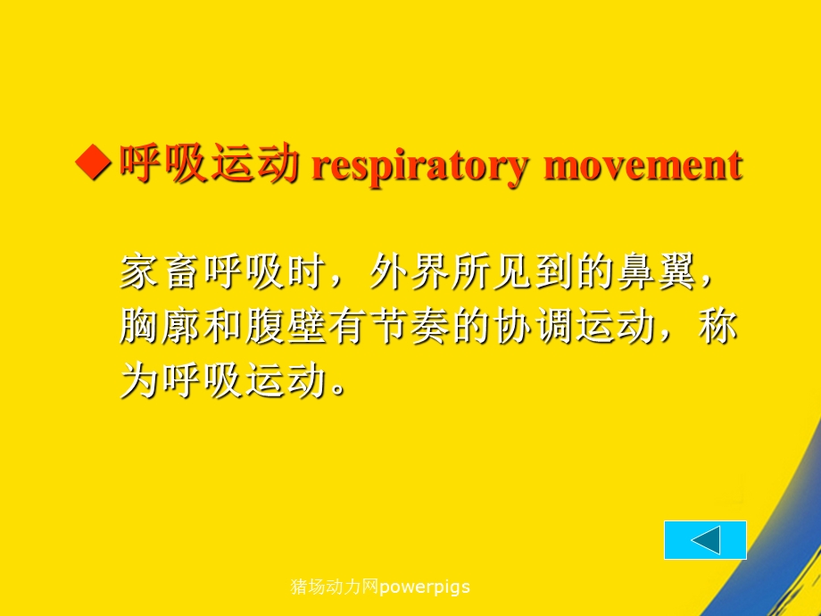 呼吸系统之呼吸运动检查课件.ppt_第2页