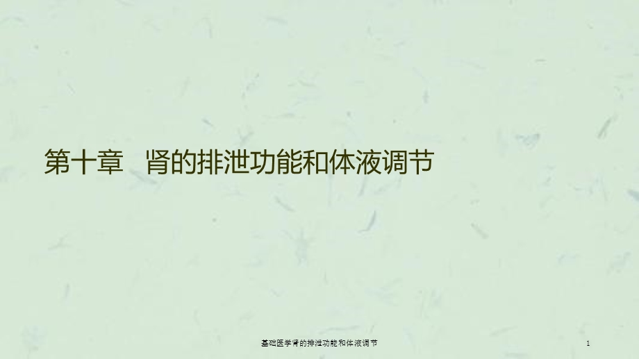 基础医学肾的排泄功能和体液调节课件.ppt_第1页