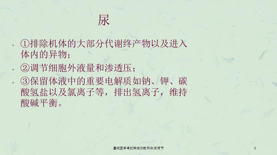 基础医学肾的排泄功能和体液调节课件.ppt_第3页