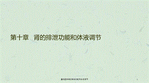 基础医学肾的排泄功能和体液调节课件.ppt