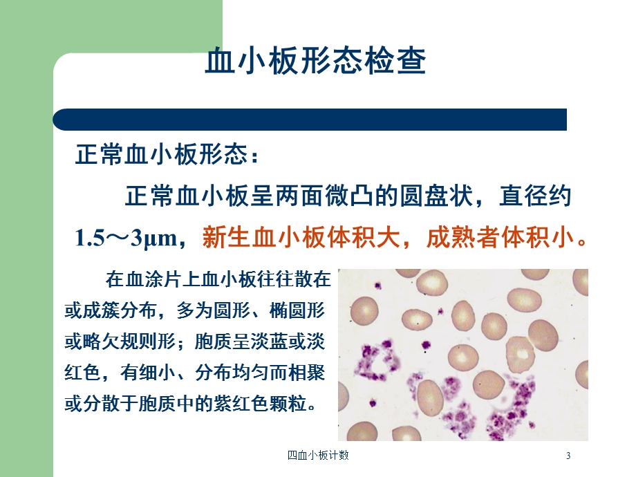 四血小板计数培训课件.ppt_第3页