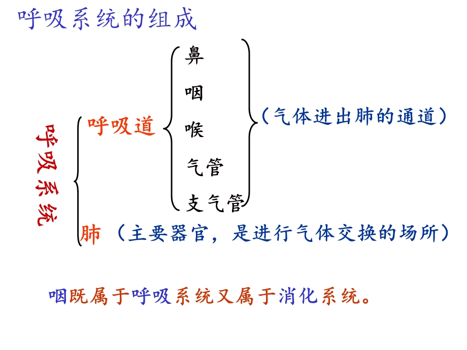 呼吸道对空气的处理(讲课专用)课件.ppt_第3页