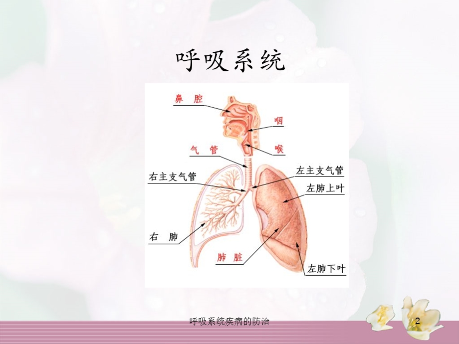 呼吸系统疾病的防治课件.ppt_第2页