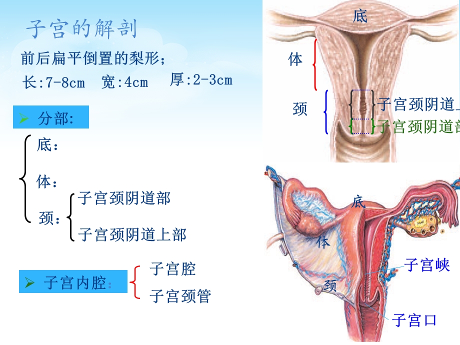 子宫肌瘤护理查房ppt课件.pptx_第3页