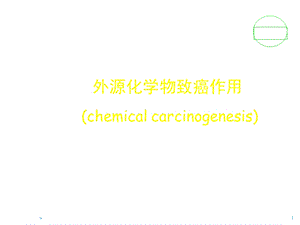 外源化学物致癌作用课件.ppt