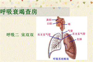 呼吸衰竭护理查房宋双双课件.ppt