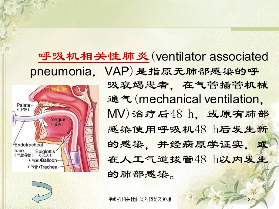 呼吸机相关性肺炎的预防及护理培训课件.ppt_第3页