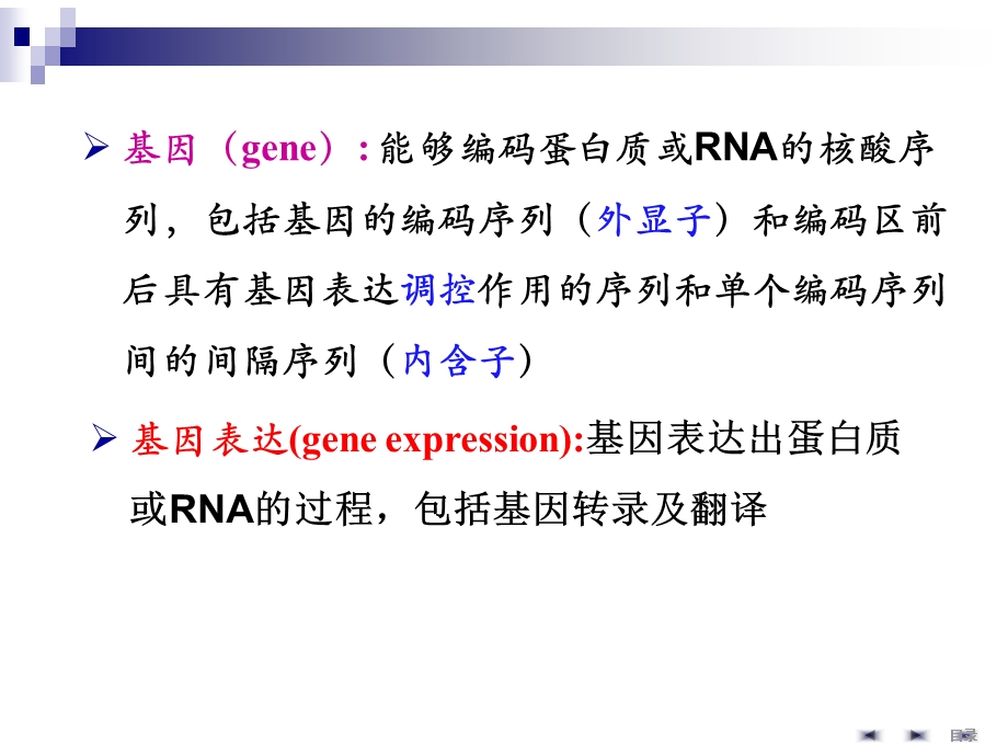 基因表达调控课件.ppt_第3页