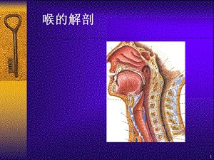 喉部的CT解剖学习课件.ppt