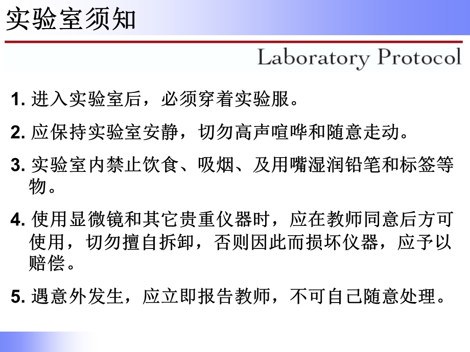 实验一显微镜油镜的使用ppt课件.ppt_第2页