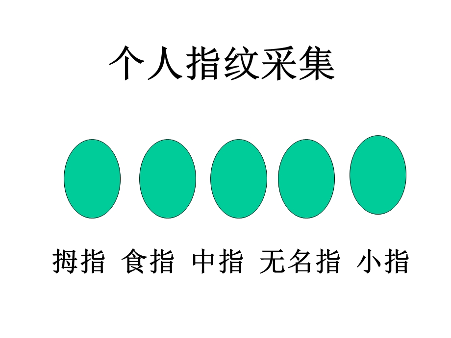 四年级下册综合实践活动课件有趣的指纹全国通用.pptx_第3页